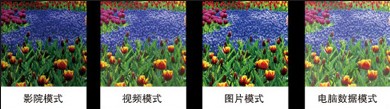 200911271317429636.jpg