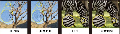 200911271321535105.jpg