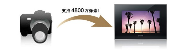 55555