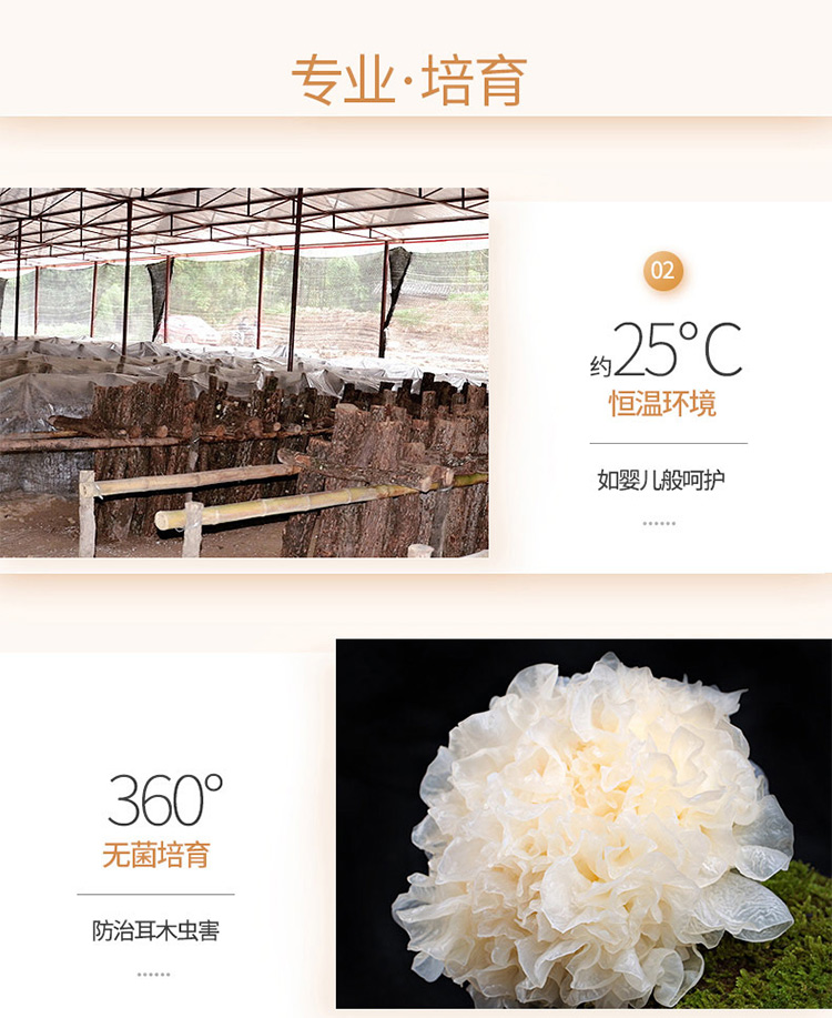 未标题-1_06.jpg
