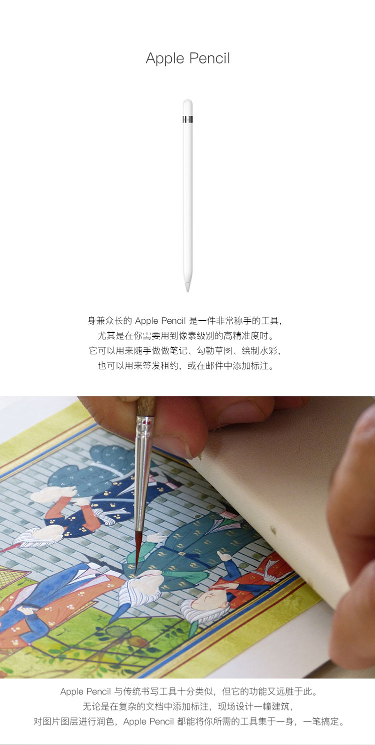AppleApple Pencil】Apple Pencil (第一代) 适用2021/2020款10.2英寸 