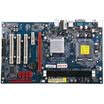 Unika UP73AX Motherboard NVIDIA MCP73DLGA 775