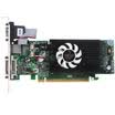 Inno3D 9300GS HD Prince Edition 567667 256M64bit DDR2 PCI-E Graphics Card