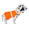 Mascotas Chaleco Reflectante Ropa Fluorescente Seguridad Perro Impermeable Ropa Para Mascotas Fluorescencia Ropa Segura