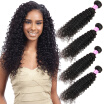 Malaysian Virgin Hair Kinky Curly Weave 4 Bundles 100 Unprocessed Brazilian Peruvian Indian Human Remy Hair Extension Weft