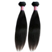 Brazilian Virgin Hair Straight Cheap Queen Hair Products Brazilian Straight Hair 2 Bundles 12 Inch Human Hair 100g Each Bundles