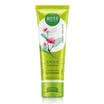 Affordable Herbal Exfoliating Cream 68g cleansing exfoliating blackheads