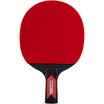 Agnite Samsung fast-break table tennis penhold F2323 double-sided anti-adhesive 3 star single shot