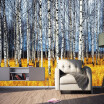 Photo wallpaper beautiful autumn dream birch wood corridor aisle stereo living room lobby bathroom wallpaper mural