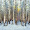 Personalización Personalizada 3D Mural Wallpaper Snow Forest Landscape Photo Papel de pared para sala de estar Ropa de cama Telón de fondo