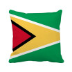 Guyana National Flag South America Country Square Throw Pillow Insert Cushion Cover Home Sofa Decor Gift