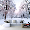 Custom 3D Mural Wallpaper Beautiful Winter Snow Landscape Wall Painting Living Room TV Backdrop Wall Modern Simple 3D Home Decor