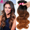 Ombre Brazilian Hair Body Wave 3 Bundles Ombre Human Hair Wet Weave Bundles