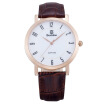 Bestdon Bd98102g Mens Fashionable Waterproof Quartz Wrist Watch Goldbrownwhite
