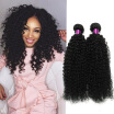 Brazilian Kinky Curly Virgin Hair 3 Bundles Natural Black 100g Brazilian Virgin Human Hair Kinky Curly Hair Afro Kinky Curly Hair