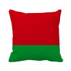 Belarus National Flag Asia Country Square Throw Pillow Insert Cushion Cover Home Sofa Decor Gift