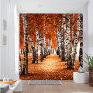 Custom photo wallpaper 3D stereo beautiful autumn birch wood corridor Entrance wallpaper bedroom living room cafe mural