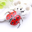 Cute Enamel Esmalte Beetle Insect Brooch Icon With Pin For Women Men Halloween Sweater Cardigan Clips Gifts Broche Bijouterie