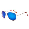 Classic sunglasses for women Gold Frame Mens Frog Sunglasses Fashion Spectacles women Vintage Classic Men SunGlasses eyeglasses