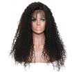 Brazilian Lace Front Human Hair Wigs Kinky Curly Human Hair Wig With Baby Hair Pre Plucked Remy Lace Front Wigs