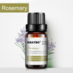 Essential Oil for Diffuser Aromatherapy Oil Humidifier 6 Kinds Fragrance of Lavender Tea Tree Rosemary Lemongrass Orange