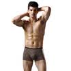 Jingdong supermarket Health mens underwear dots printed elastic stretch cotton men underwear 2 color 77956XL