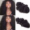 Amazing Star Malaysian Virgin Hair Afro Kinky Curly 4 Bundles Malaysian Human Hair Bundles Afro Kinky Curly Soft&Bouncy Hair