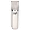 Kay Frog KFW SK-200 recording condenser microphone microphone computer recording cover network K song YY UC chat silver