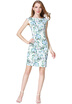 Womens Sleeveless Floral V-Neck Sheath Dress