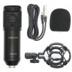 Professional BM800 Condenser Microphone Pro Audio Studio Vocal Recording Mic Shock Mount