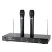 Victory TAKSTAR TS-6700HH Wireless Microphone Microphone One V 2 V Family KTV Conference Stage Performance Kara OK High Quality Wireless Microphone Elegant Black