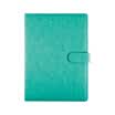 Jinlongxing Glosen notebook child notebook business notebook student manuscript office meeting record book 200 page A5 magnetic buckle book 8253 blue