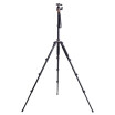 Beike BK 555 Tripod for SLR Camera Ball Head Portable Travel Folded