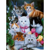 Oil Paintings 12 16 Inches 30 40cm DIY 5D Diamond Painting Kit Cat Animal Pattern Resin Rhinestone Mosaic Embroidery Cross Sti