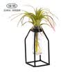 Jiayi wrought iron test tube vase Nordic style metal decoration green radish hydroponic plant vase side length 65cm height 13cm square bottom type small
