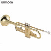 Professional Bb Trumpet B Flat Brass Gold-painted Wind Instrument with Mouthpiece Gloves Strap Case