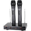 Victory TAKSTAR TS-6500FX Wireless Microphone Microphone One-to-two U-band FM Home KTV Conference Stage Computer TV K-song Direct-to-use Athens Black