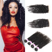 Glary 8A Mongolian Hair Bundles with Closure Kinky Curly Weaves 100 Unprocessed Virgin Human Hair Wefts 4 Bundles Natural Color