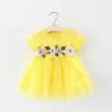Flower Girl Lace Tutu Dress Toddler Baby Birthday Wedding Princess Pageant Party