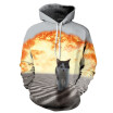 QYDM045Mens Hoodie 3D Printed Women Pullover Sweater