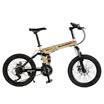 Rockefeller R450 26" Speed 21 Folding Bicycle