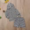 2pcs Newborn Toddler Baby Girl Hooded Sweater TopsPants Outfits Set Clothes