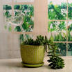 Glass Plant Flowers Water Feeder Self Watering Bird Design Plant Waterer 6shapes