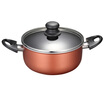 Jingdong supermarket Supor supor bright color non-stick soup pot fire induction cooker general PT20G3