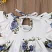 Newborn Infant Baby Girls Floral Tops Dress Harem Shorts Pants Summer Clothes AU