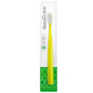 Namie Namei plays toothbrush big brush head toothbrush single pack color random