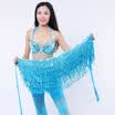 Belly Dance Dancer Costume Sequins Tassel Fringe Hip Scarf Belt Waist Wrap Skirt