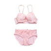 Women Romantic Lace Bra Sets Underwear Set Push Up Bc Bra And Panty Set