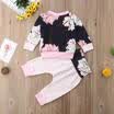 2PCS Newborn Baby Girls Sweatshirt TopsLong Pants Autumn Outfits Clothes Set