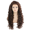 Iwona Synthetic Hair Lace Front Long Curly Brown Mix Wig